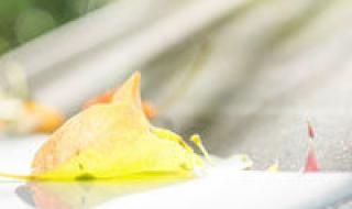 两男一女情侣网名三字 qq情侣签名一男一女