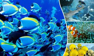 太平洋海底世界需要预约吗 北京太平洋海底世界