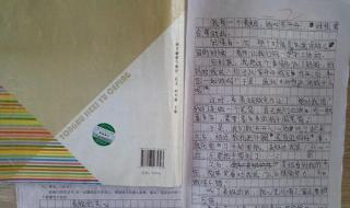 我的同学三年级作文