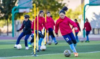 2023-24赛季德甲几轮 天津2023足协杯首场比赛时间